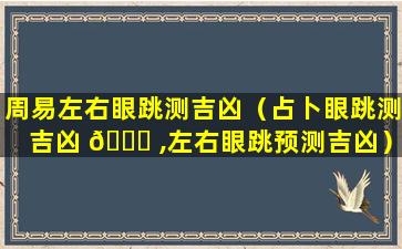 周易左右眼跳测吉凶（占卜眼跳测吉凶 🐎 ,左右眼跳预测吉凶）